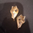 Women's 18k Gold-Plated Seashell stud earrings — photo 2