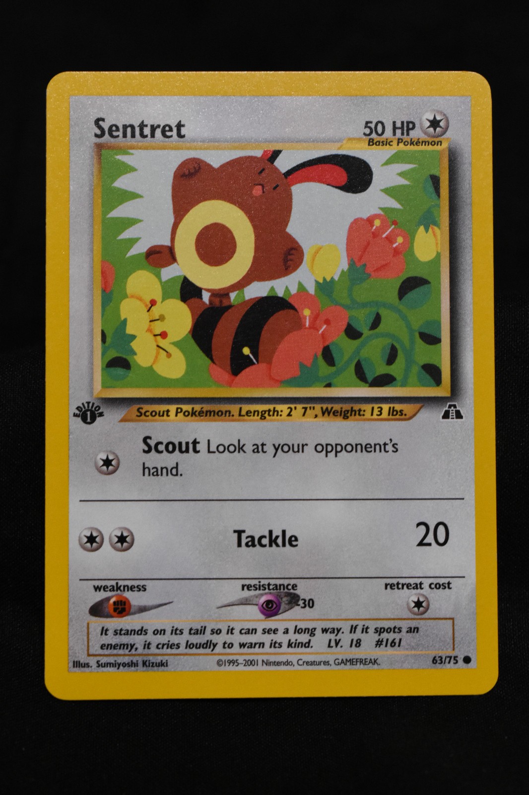 Sentret 1st Edition 63/75 NM Neo Discovery Regular Common Pokémon TCG Card