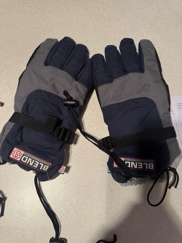 Special Blend 99/00 Meridian Snowboard Glove Men’s Large Blue Grey NEW Gloves L