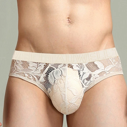 Mens Sexy Lace Transparent Briefs Mesh See Through Lingerie Underpants Hombre - Bild 8 von 8