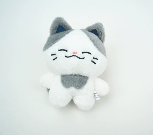 Peluche bambola NCT DREAM X LINE FRIENDS Dreamiez cartone animato HAECHAN Jaemin Jeno giocattoli - Foto 12 di 17