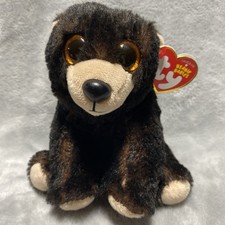 TY Beanie Boos Babies 6.5 inch Kodi the Black Bear. Has the tag. 