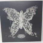 Picture 5 of 8
