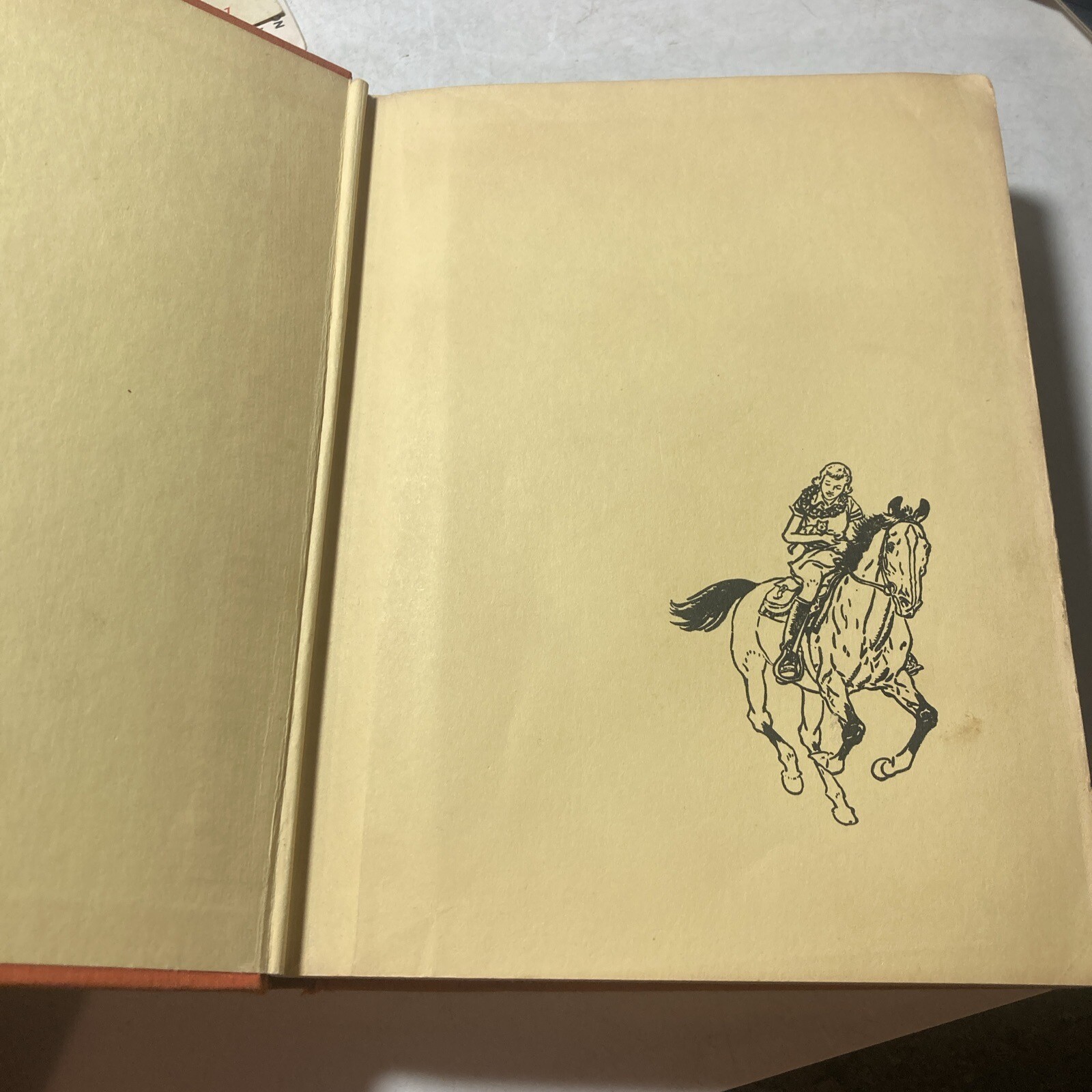 Picture 6 of 18