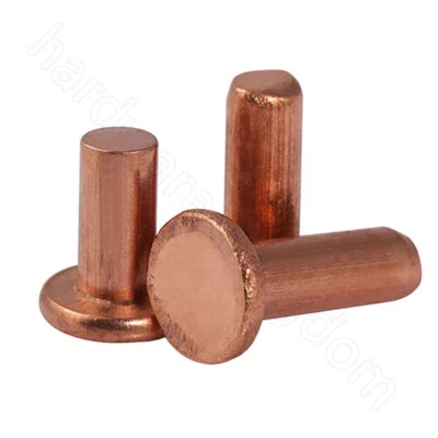 Flat Head Rivets Solid Copper Rivet M2 M2.5 M3 M4 M5 M6 M8 Fasteners 20-200pcs - Image 1 of 4