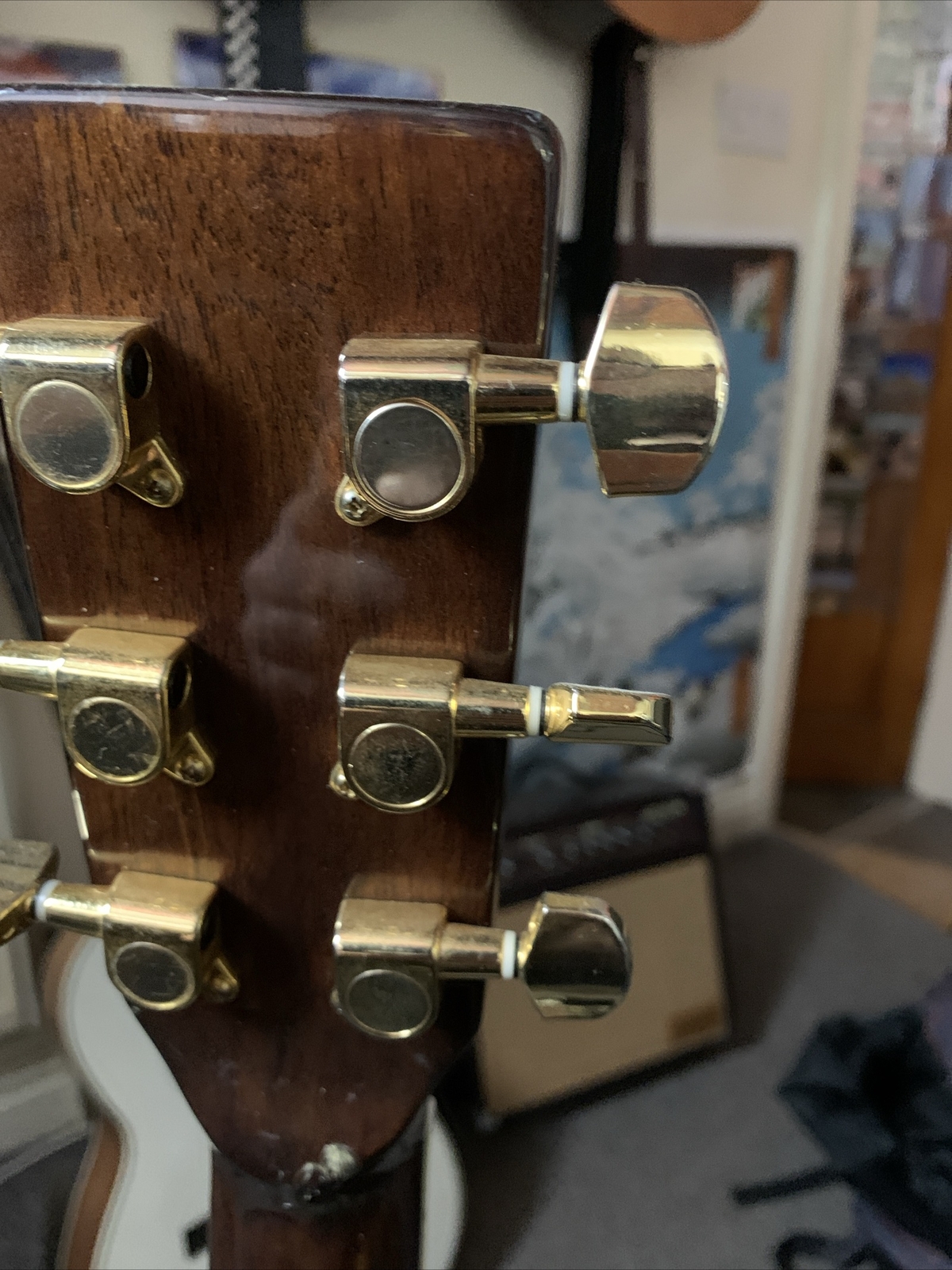 Ozark 3515BTE Electric Thinline Resonator steel body guitar eBay