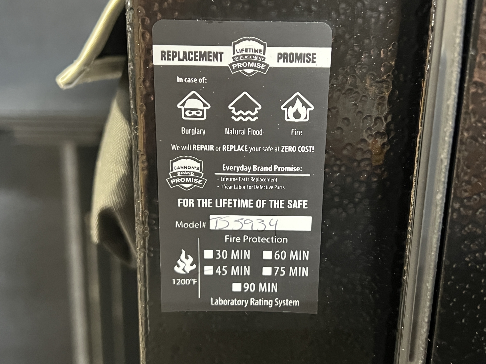 Cannon TS5934 48 Long Gun + 6 Handgun ELock Safe Black New Open Box