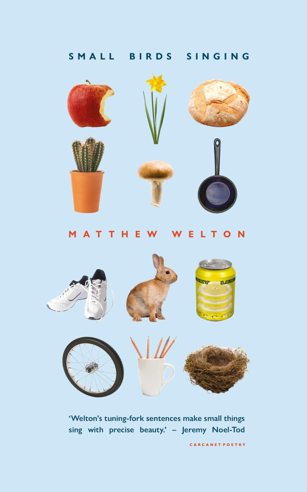 Small Birds Singing by Matthew Welton - - Image 3