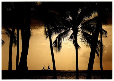 1984 Hawaii Sunset Postcard Silhouette Palm Trees Sailboat Moods John Wagner