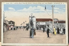 1924 Wildwood NJ, Cedar Ave, Whip And Jack Rabbit, Cape May County, Postcard