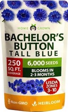 Bachelor Button Seeds Tall Blue - 6000 Cornflower, 1-Pack,