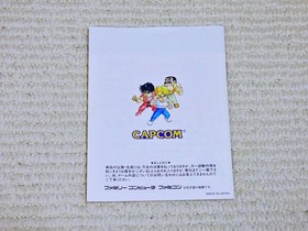Famicom Mighty Final Fight Game Manual Only