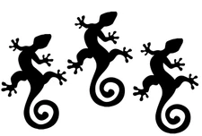 Lizard Silhouette Three 5" Black Vinyl Graphic Decals Car Truck Laptop Tablet