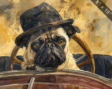 Pug in a retro car with a driving hat watercolor paintin 8x10 Print