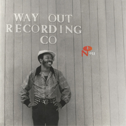 Various Artists Way Out Recording Co. (Vinyl LP) 12" Album