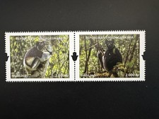 Madagascar Madagaskar 2024 / 2025 Mi. ? Indri indri lémurien Lemur faune Fauna