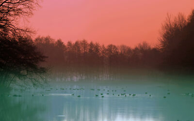 Anime Bird Duck Fog Lake Nature Tree  Gaming Mat Desk 10906