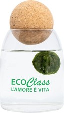 Marimo 4 - 6 cm in Vaso di Vetro da 500 ml con tappo in sughero sfera block yoga