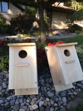 2-pack Screech owl / Kestrel nest box (white cedar)