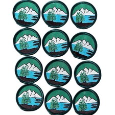 Lot of 12 Vintage Girl Scout Badges Mountains Rivers Retired Patches Green Round