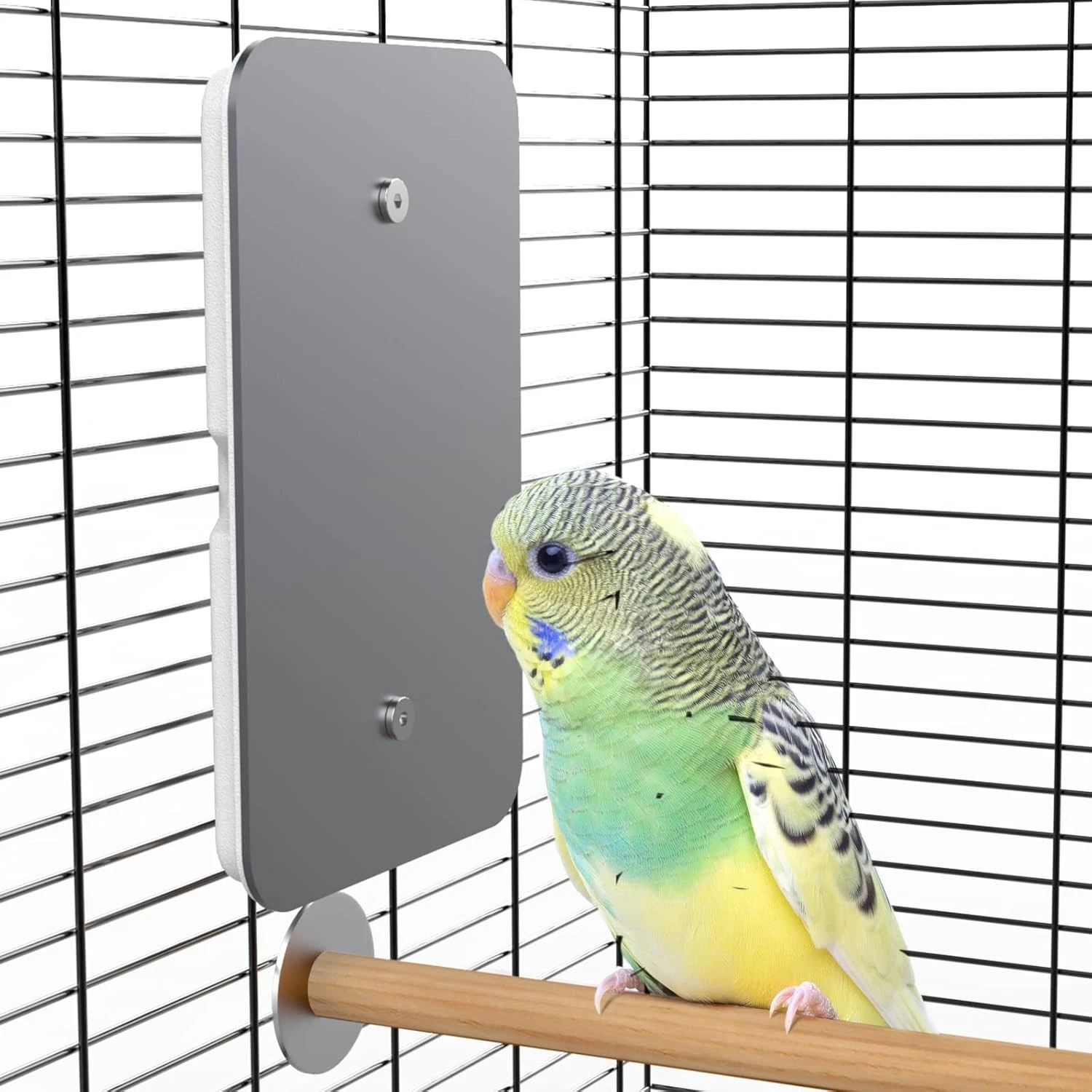 Fenocran Large Bird Heater, Thermostatical Bird Warmer for Parakeets Warm Bird
Opens in a new window