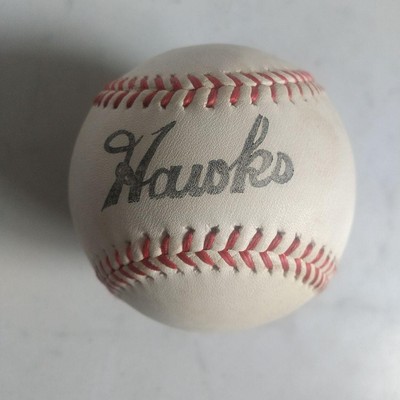 5 Balles D'entraînement Baseball WORTH Lestées, Poids Variés, Pratique Lancer, Occasion