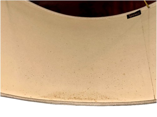 Frederick Cooper Tyndale Lamp Shade(s) 2 17” Drum Hand painted 60s 70s Retro MCM - Picture 10 of 13