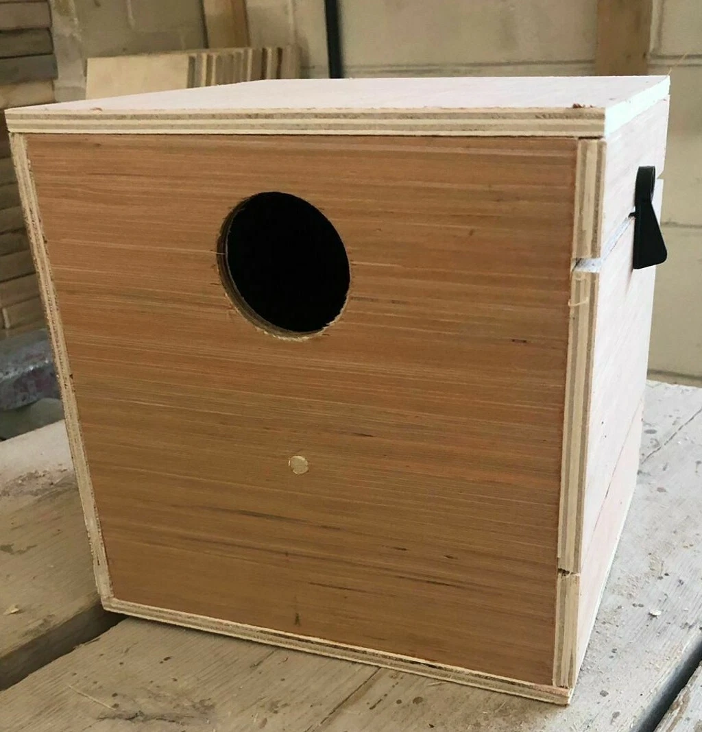 Lovebird nest sales box