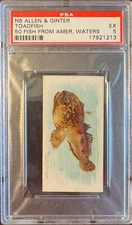 TOADFISH 1888 N8 Allen & Ginter 50 Fish From American Waters PSA 5 EX