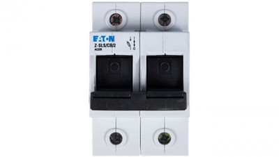 Sicherungsschalter 2P 63A D02 Z-SLS/CB/2 248248