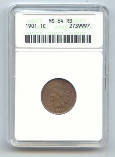 1901 Indian Head Cent, Old Smal White ANACS Holder, MS-64 RB, Red Brown