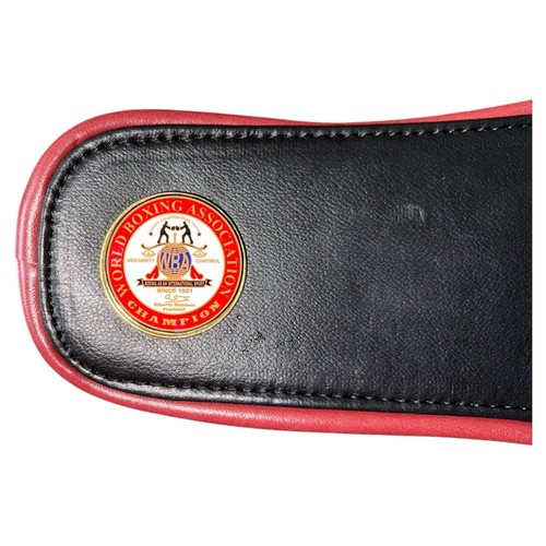 Kinder Mini Boxen Meisterschaft Gürtel, IBO, WBO, IBF, WBA, WBC, Replica Titel Gürtel - Bild 19 von 27