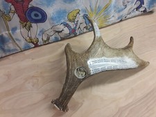 Antique Moose Antler Cribbage Board