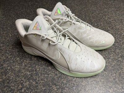 Nike LeBron XXII 22 Dunkman Light Bone Green Basketball FZ1094-002 Mens Size 18