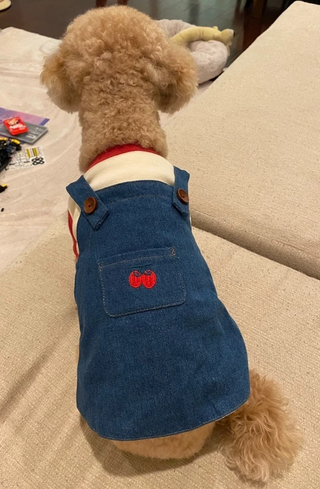 Pet Clothes / Pet Denim / Dog Overalls / Denim Overalls / Dog cute Dress - Image 3 of 4