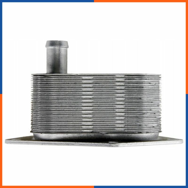 Febi Bilstein 106194 – Radiatore Olio Motore Con Guarnizione, Ricambio Originale Per BMW Serie 3, 5, X3, X5 E Altri Modelli