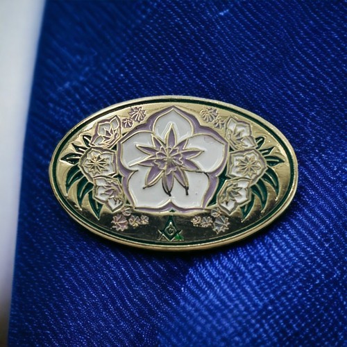 Ovale Freimaurer Feiertag Anstecknadel 2014-2015 von Joanne Bateman GL von PA Masons