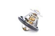 Thermostat Ford ESCORT
