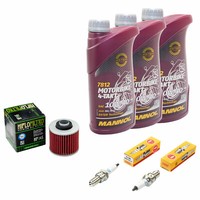 3L ÖL Inspektionspaket FüR Yamaha XVS 650 Dragstar 1997-2007 ÖLfilter+ZüNdkerzen