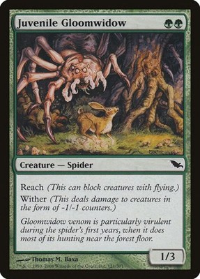 Juvenile Gloomwidow (121)