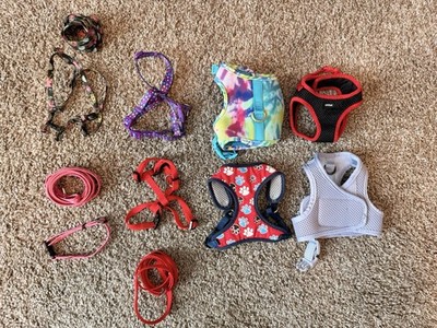 Dog Harnesses & Leashes 6 Total New and Used XXS & XS Various Styles
