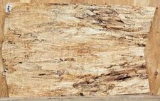 BLACK LINE Spalted Maple Wood 0905 Luthier 5A Guitar Top Set 24x 15 x .3125