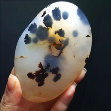 TOP 321 G Natural Polished Aquatic Plants Agate Crystal Madagascar YO825