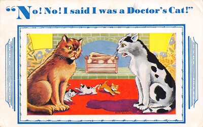 POSTKARTE COMIC KATZE THEMA NEIN NEIN ICH SAGTE ICH WÄRE EINE ARZTKATZE