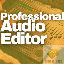 Professional Audio Editor