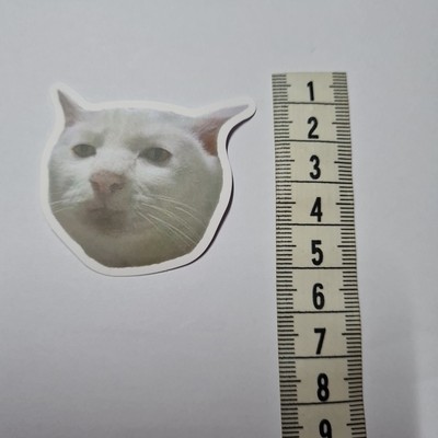 Cat Stick Meme Funny Cute Derp Silly Sticker Aufkleber Sammeln Geschenk Neu