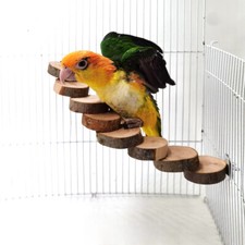 Parrot Bird Log Variant Ladder Toy Supplies Flying Squirrel Honeybag Glider