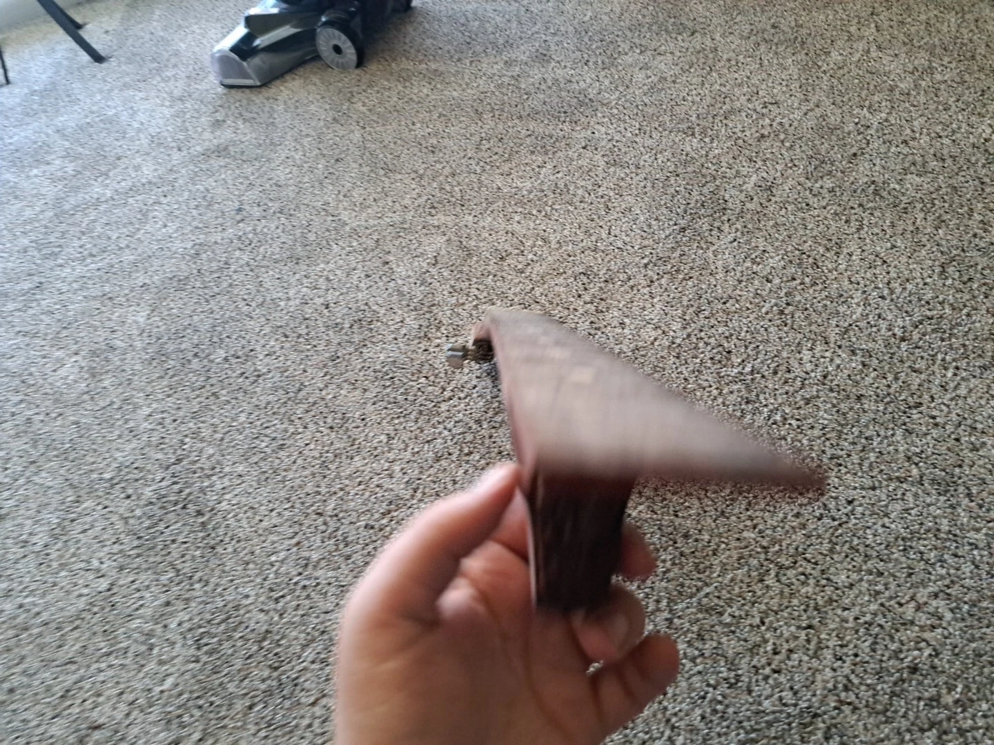Picture 6 of 6