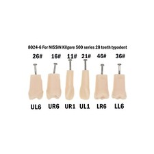 10Pcs Dental Kilgore Nissin 500 Typodont Replacement Screw-in Teeth Model M8024