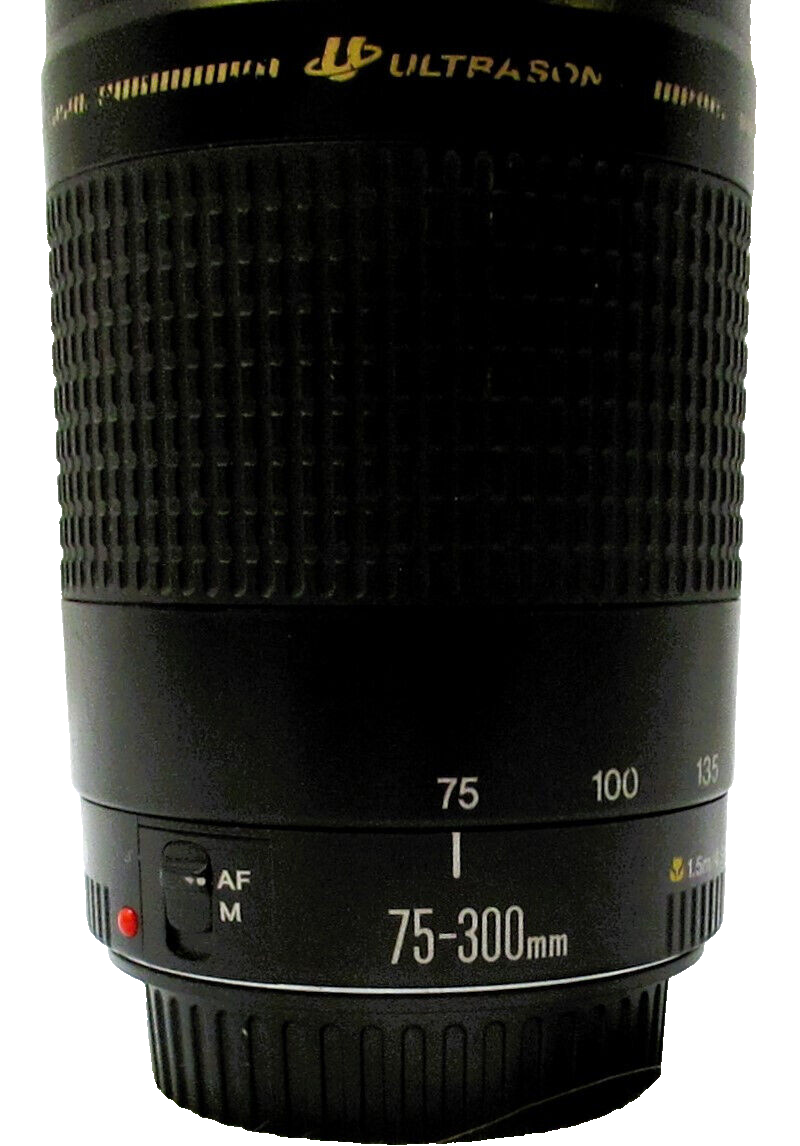 キャノン EF 75-300mm 1:4-5.6 Ⅱ ウルトラソニック Canon EF 75-300 mm 1:4-5.6 II Ultrasonic Zoom Lens | eBay